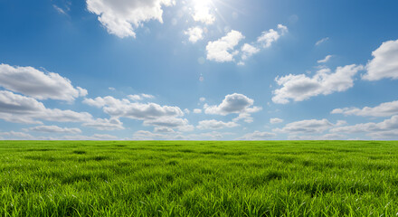 Fototapeta premium Green Meadow under Blue Sky