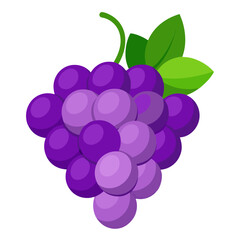 bunch of grapes