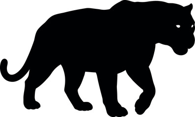 Black panther silhouette walking powerful predator