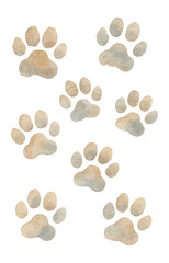 Fototapeta premium Watercolor illustration of light brown and gray dog paw prints arranged randomly on transparent background.