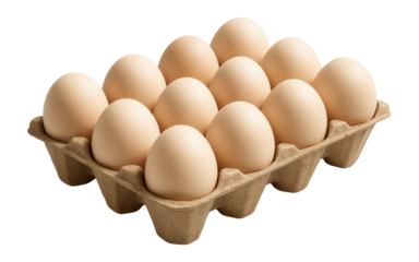 A dozen brown eggs neatly arranged in a cardboard egg carton on transparent background.