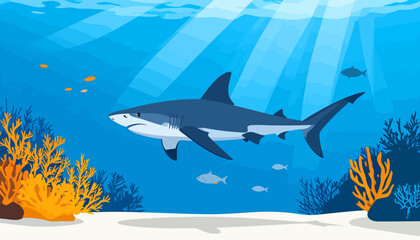 Obraz premium A large, grey great white shark with a white underbelly, illustrated in a flat vector style, swimming with a serious expression.