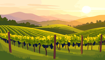 Scenic vineyard landscape illustration with rows of grapevines on rolling hills under a warm, golden sunset.