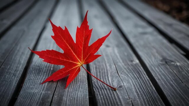 A single red leaf sits on top of a wooden table, perfect for autumn or fall-themed designs