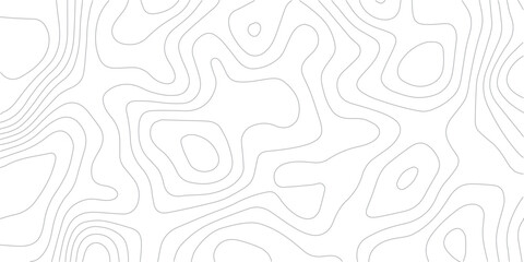 Modern Gray Abstract Topography Map Line Background, Minimal Contour Pattern.