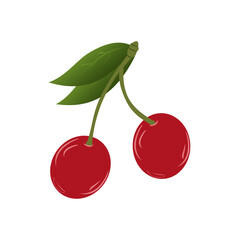 Obraz premium Cherry collection vector illustration. Design element. EPS10