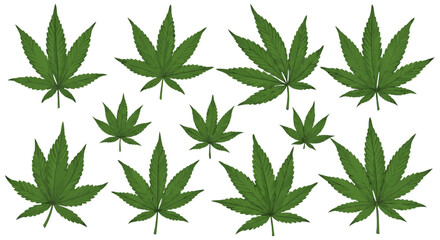 Vector SVG Illustration of Cannabis Leaves with Organic Flat Style and Green Palette for Botanical Design