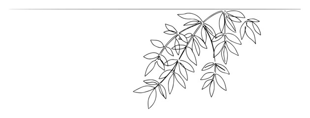 one single line drawing of a hanging jungle liana vine branch with leaves for a tropical foliage concept vector linear design © Wieslaw