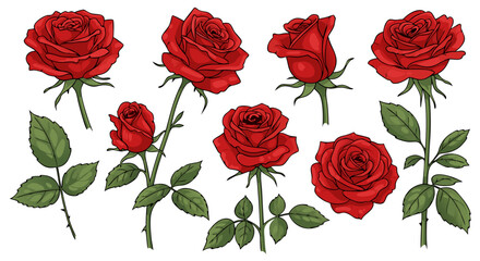 Vector SVG Illustration of Red Roses in Modern Realistic Style with Detailed Flower and Leaf Elements for Floral Design