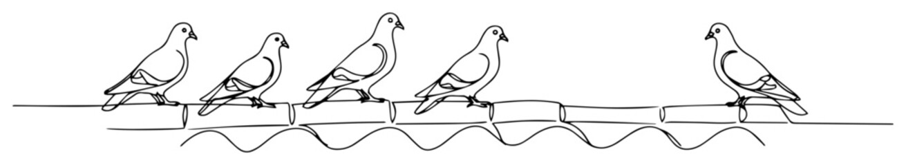 Fototapeta premium pigeons perched on power line outline vector illustration