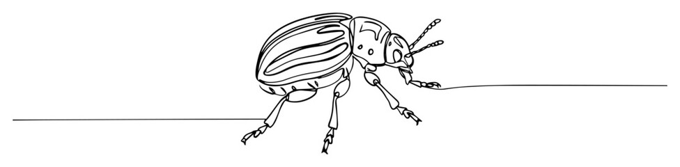 the colorado potato beetle an agricultural pest illustrated with a single continuous line