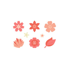 different spring coral bloom set   