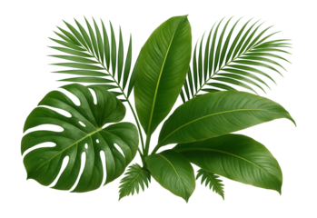 Collection of various vibrant green tropical leaves including monstera and palm fronds on transparent background.