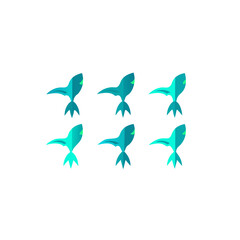 different tide racer fin set  