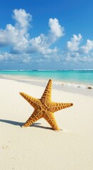 Starfish on a beach