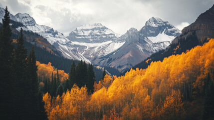 Breathtaking view of a mountain range with a spruce forest on a sunny day.