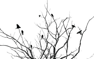 silhouette of leafless tree with perched birds vector illustration