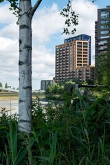 Urban landscape with modern buildings and greenery.
