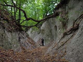 A man explores the narrow Kőporos Ravine, carved into soft rhyolitic tuff in northern Hungary. Exposed tree roots cling to the cliffs above. Editorial use only due to recognizable person.