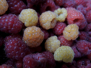 raspberries and blueberries