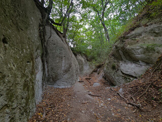 A natural trail runs between steep rhyolitic walls in the Kőporos Ravine. The eroded rock formations and overhanging trees showcase the rugged beauty of this hidden gem in northern Hungary.