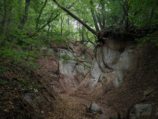View of steep ravine walls in the Kőporos Gorge, shaped by erosion in soft rhyolitic tuff. Tree...