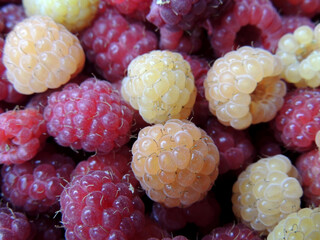 close up of raspberries