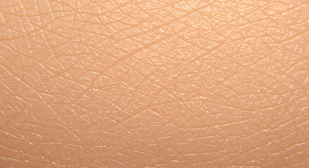 Fototapeta premium Close-up Macro Shot of Light Peach Human Skin Texture; Detailed, Smooth, and Natural.