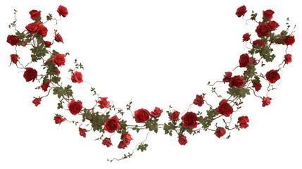  vibrant red rose garland artfully arranged in  decorative arch isolated on white background