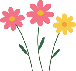 Vibrant daisy flowers pink yellow spring bloom