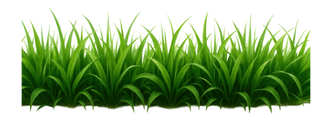 Dense, vibrant green grass blades arranged in a lush, textured pattern on transparent background.