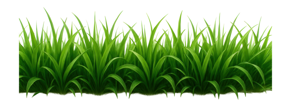 Dense, vibrant green grass blades arranged in a lush, textured pattern on transparent background.