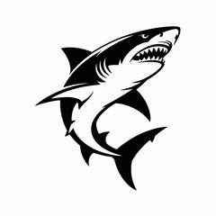 shark vector illustration