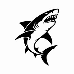 shark vector illustration