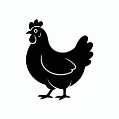 vector chicken