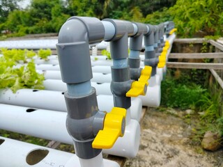 pipe taps on hydroponic plants