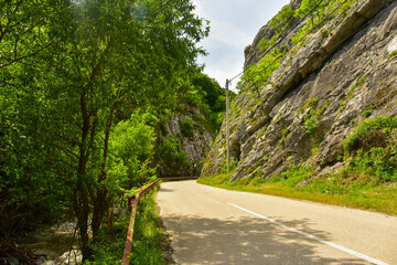 DesfilaImponente formación rocosa junto a carretera de Intregalde, con sombra natural y denso follaje.dero rocoso en Intregalde, Rumanía

