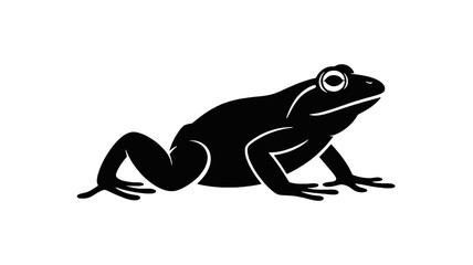 Silhouette of a Frog on a Dark Background amphibian