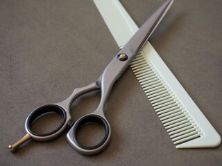Scissors and comb