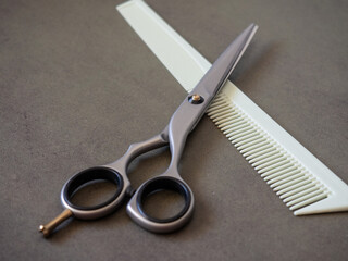 Scissors and comb