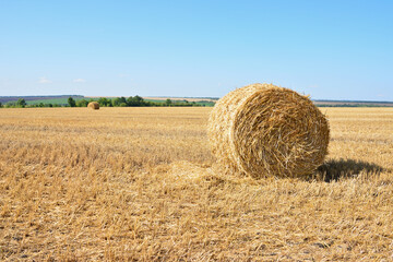 a single Hay Bale in a Field under Blue Sky copy space