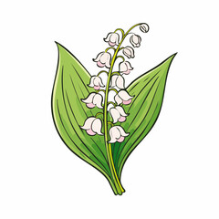 Elegant Lily of the Valley Illustration: A Delicate Floral Depiction in Cartoon Style
