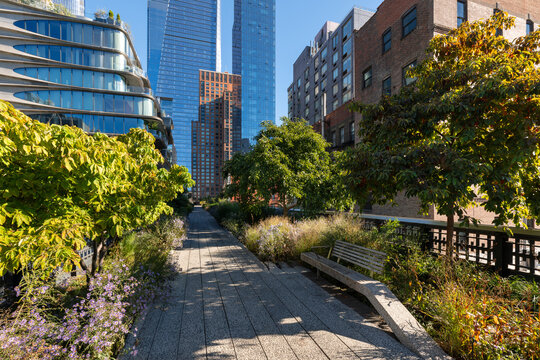 High Line park in Chelsea, New York City with Hudson Yards skyscrapers. Elevated urban greenway with summer foliage and modern architecture