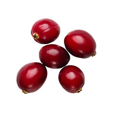 Five ripe cranberries on black background close-up view, isolated on transparent background cutout