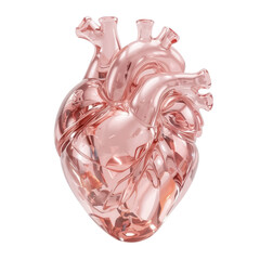 Rose Gold Anatomical Heart Sculpture Delicate Veins on an Isolated Transparent Plane Elegance