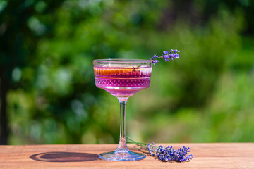 Bright cocktail or lemonade served in elegant crystal glass on wooden table against of a green summer garden. Purple color drink with lavender herb flowers and slice of lemon, closeup