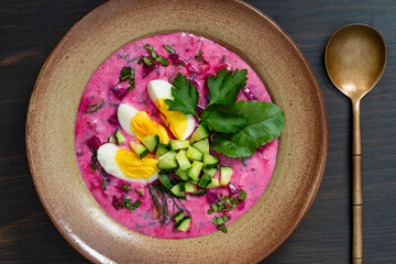 Cold beet soup, traditional Ukrainian food made with beetroot, cucumber, radishes, boiled eggs and sour cream. Delicious cold summer beetroot soup in bowl on table, closeup, top view