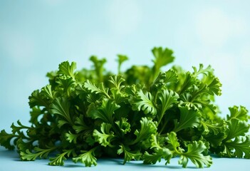 Fototapeta premium Lush green vegetable crown on soft blue backdrop, botanical, vibrant colors