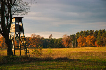 Ambona obserwacyjno - myśliwska na skraju lasu w jesiennej tonacji. © Pol Badger