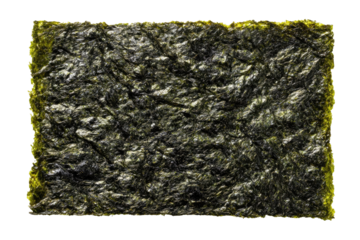Rectangular sheet of dark, textured seaweed